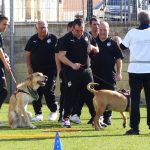 El Reus Genuine amb l’educació canina positiva com a activitat de Team Building